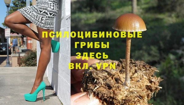 мескалин Козельск